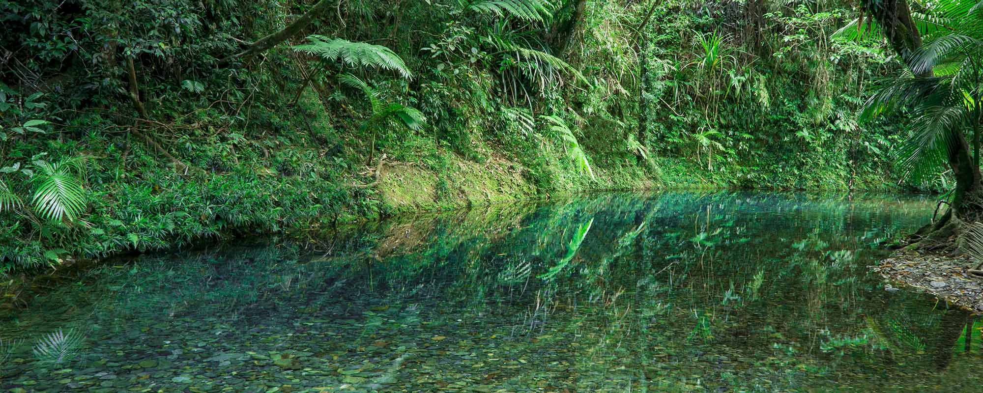 mossman gorge