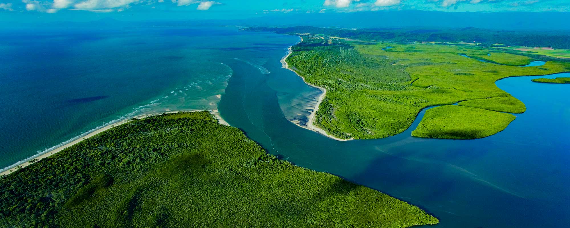 daintree river aerial