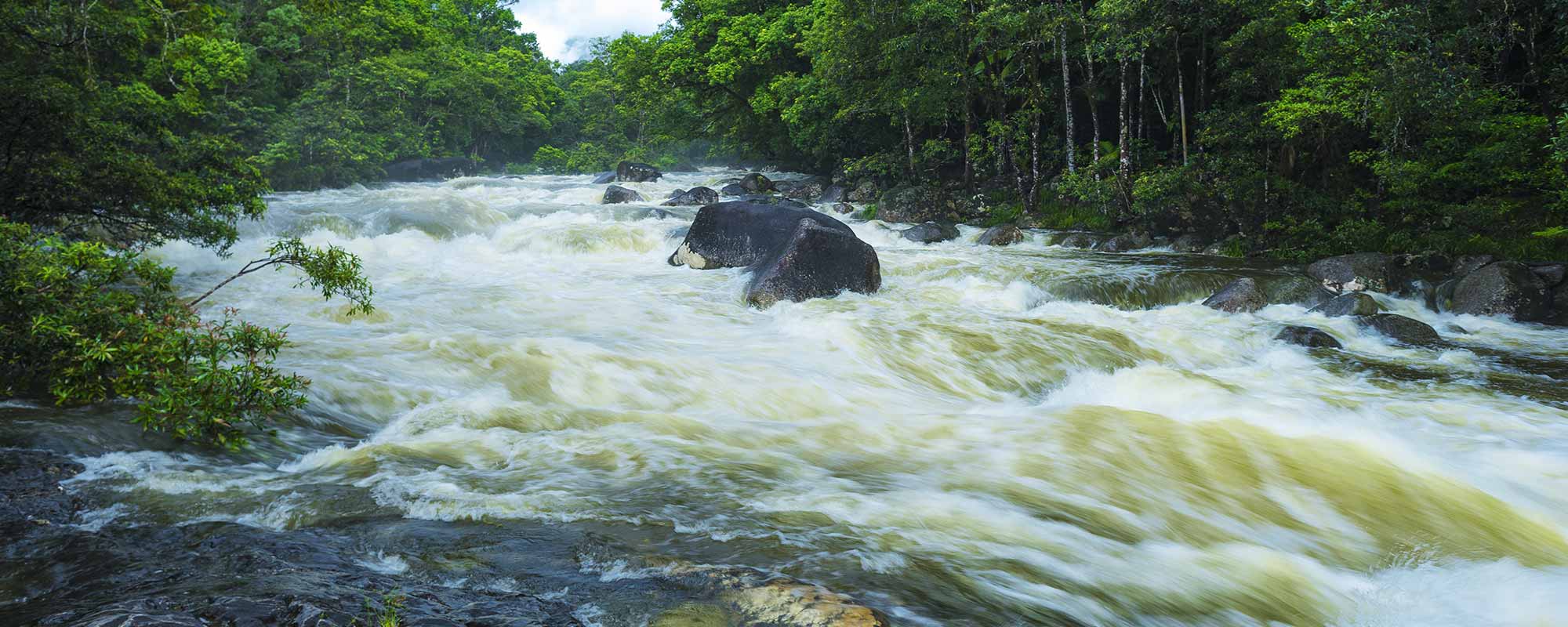 mossman gorge