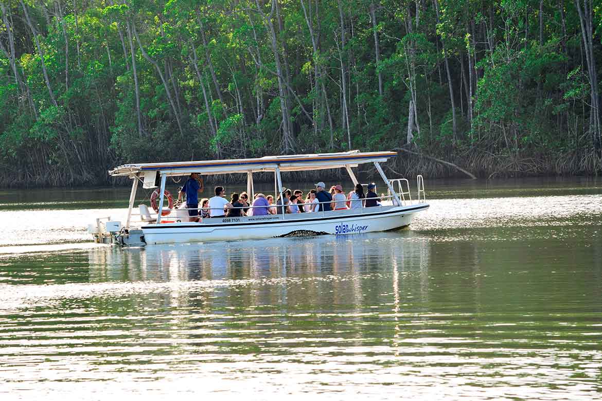 solar whisper daintree cruise