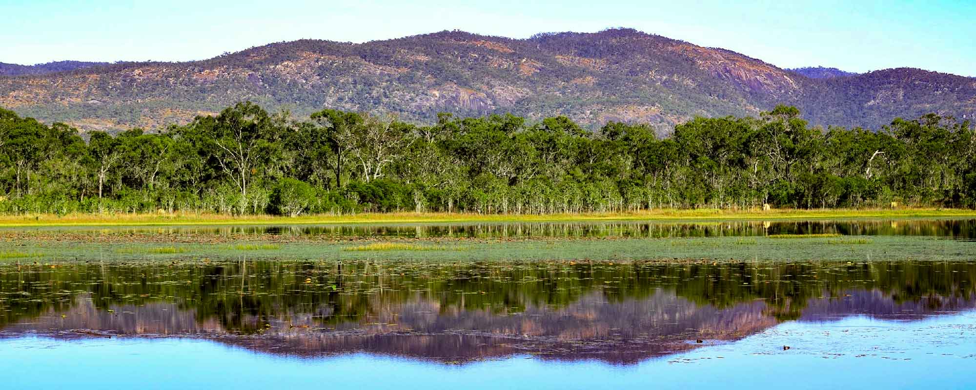 mareeba wetlands